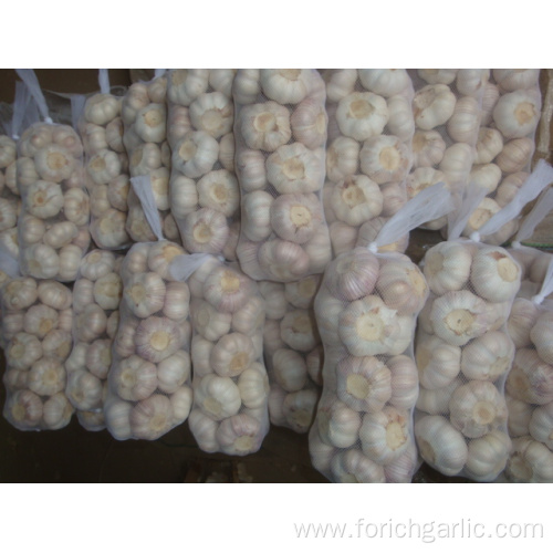 Normal white garlic packed in 1kg 10bags carton